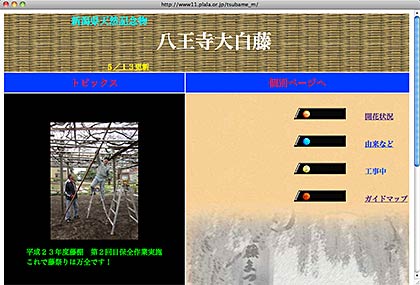 天然記念物「八王寺の白藤」の開花情報を掲載している川崎さんのホームページ