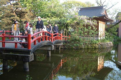 八幡宮の池の弁天島