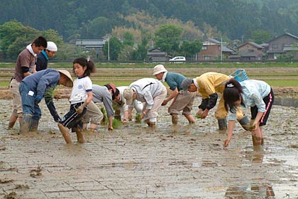 21日に三条市吉田地内の田んぼで行われた「平成23年度もう一つの小さな田植え」