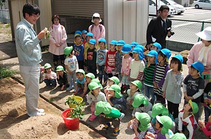「グループホーム白ふじ」でサツマイモの苗を植える燕市立つぼみ保育園の園児