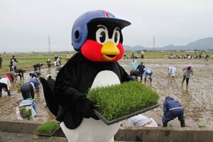 田んぼアートの田植えで燕市に初飛来したヤクルトスワローズのマスコット、つば九郎