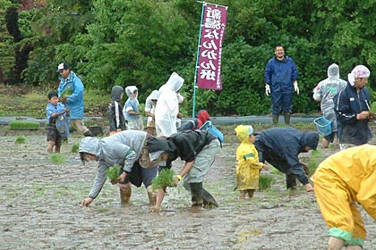 JAにいがた南蒲が子どもたちを対象に三条市下保内の田んぼで行った春の田植え体験