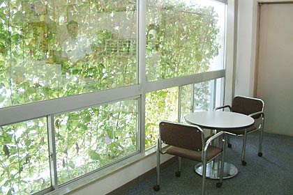 室内から見る緑のカーテンは目にも涼しげ