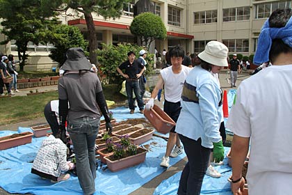 大崎中で花植えなどを行う大崎中PTCA
