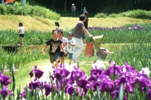 三条市矢田、しらさぎ森林公園で19日、「花菖蒲まつり」のオープニングイベント