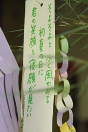 「きららん」の短冊