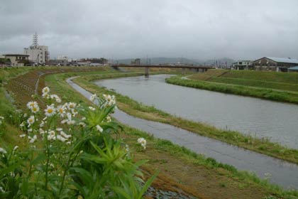 三条市が26日に行う水害対応総合防災訓練で水防訓練などを行う五十嵐川河川敷