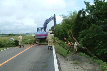 三条市三貫地地内で木が倒れ、通行止めになった県道1号新潟小須戸三条線