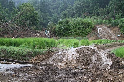 坂井さんの家の裏山で行われている排水作業