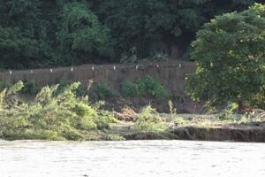 道路が崩落した直後、7月30日の道心坂のようすを対岸から