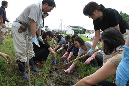 県央研究所で行われたしらさぎ荘から株分けされたハナショウブの株植え