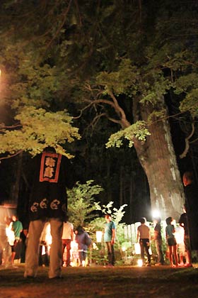 暗闇にそびえる「弥彦の婆々スギ」の威容を見学