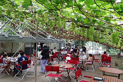 3日に岡村葡萄園のブドウ畑で開かれた「Farmer's Garden Lunch 葡萄畑でお食事を…」