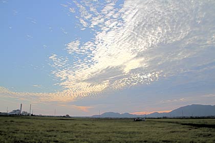 燕市桜町付近の田んぼから西の空に秋を思わせる連続した模様の雲