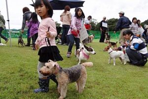 23日に三条市総合運動公園で開かれた第27回県央地区動物フェスティバル