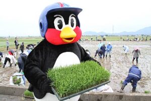 10月2日、東京ヤクルトスワローズ「つば九郎」が4カ月ぶりに来燕、田んぼアートの稲刈りと燕青空即売会に参加