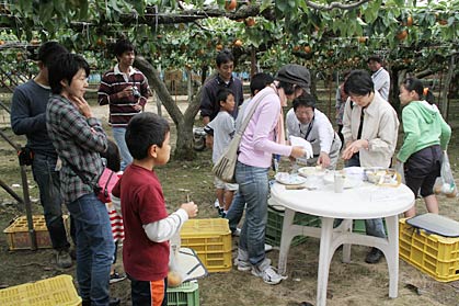 「廿世紀」と「南水」を試食、食べ比べ