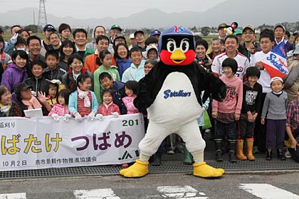  2日に燕市吉田新保地区の田んぼで行われた田んぼアートの稲刈りに参加したつば九郎