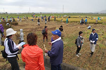 みるみる稲刈りが進んだ田んぼ