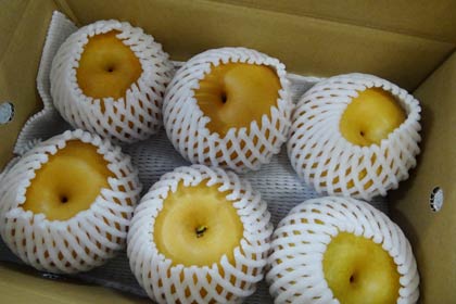 グルメゆうパックで「加茂の梨　新高」を申し込んだ人に届く加茂産の「新高」