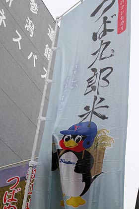 ネスパスに「つば九郎米」ののぼり
