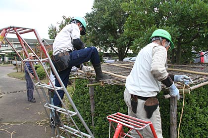 年齢を感じさせない身のこなしで作業