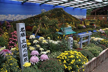 大風景花壇のことしのテーマは「がんばろう日本！富士山」