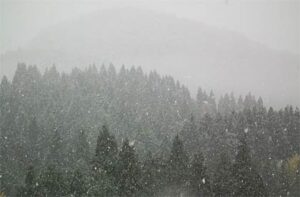 21日の「しただブログ」に掲載された景色を白くかすませるほど強く降る雪