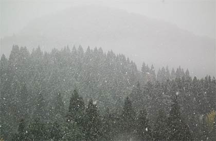 21日の「しただブログ」に掲載された景色を白くかすませるほど強く降る雪