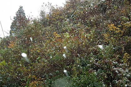 紅葉が終わらないうちに白い雪