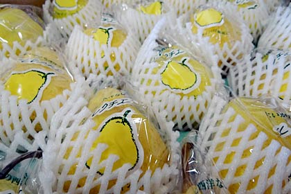 天気の悪影響が少なく上出来になった「ル レクチエ」