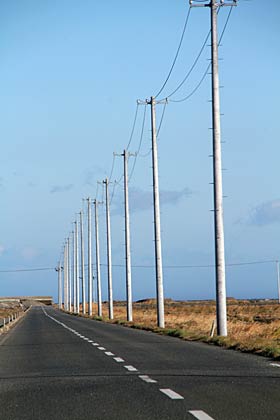 津波で流された地に道路に沿って延びる電柱
