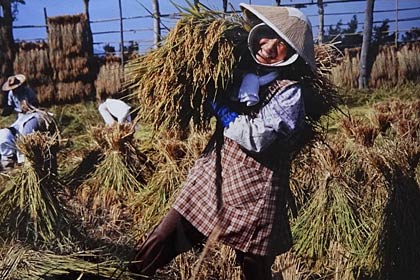  最優秀賞の黒坂芙美子さんの「収穫の喜び」