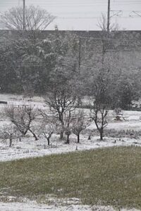 16日午前11時ころ雪化粧した三条市上須頃地内