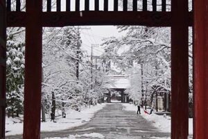 25日昼前、雪化粧した本成寺参道