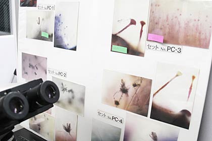 高野雅志前理事長が撮影したカビの写真も展示