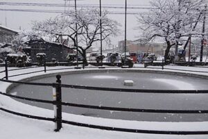 三条市厚生福祉会館の池の水面も白くなり始める