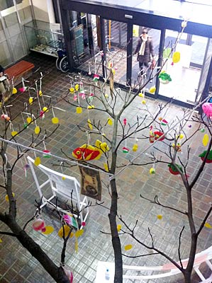 三条市役所三条庁舎の1階市民ホールにことしも小正月の風物詩、まゆ玉飾りがお目見え