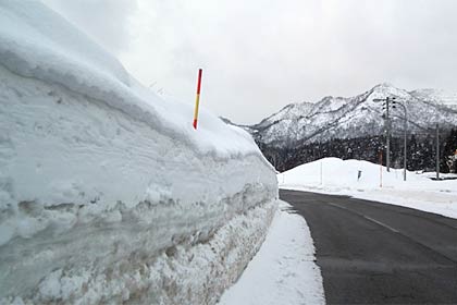 国道289号の雪の壁は背丈をはるかに超す高さ