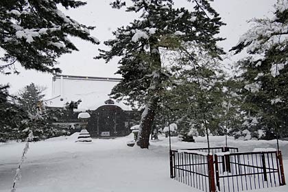 ひざくらいの高さまで雪が積もっている本成寺の境内
