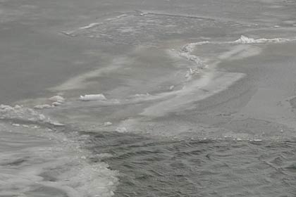 五十嵐川の川面に氷が浮かぶ