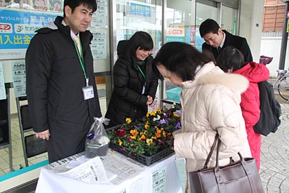 北越銀行分水支店の店舗前で16日まで来店した年金受給者に花の苗をプレゼント