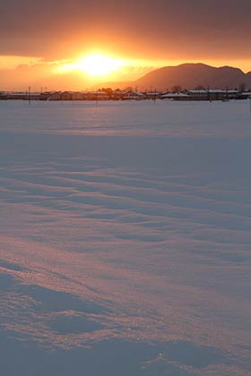 15日夕方の燕市吉田法花堂付近の田んぼの雪原