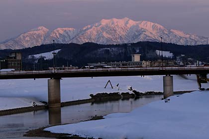 16日夕方、三条市の五十嵐川の向こうにピンクに染まって見えた粟ヶ岳