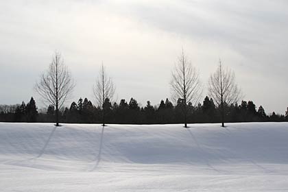 4日夕方のスノーピーク本社キャンプフィールドの穏やかな雪景色