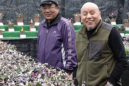 来場を呼びかける三条雪割草寿会会員