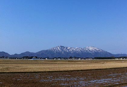 27日、燕市吉田地区の田んぼから弥彦山