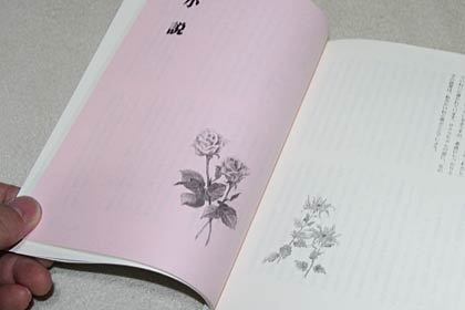 挿し絵は日本画愛好会「彩好会」に発注した