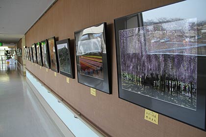 済生会三条病院で開かれている第十二回写楽友人会写真展