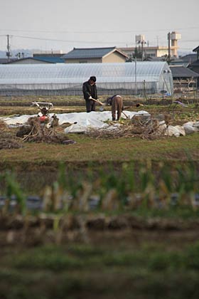 2日午後の三条市上須頃地内の畑